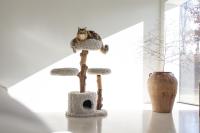 Designed by Lotte Ziza